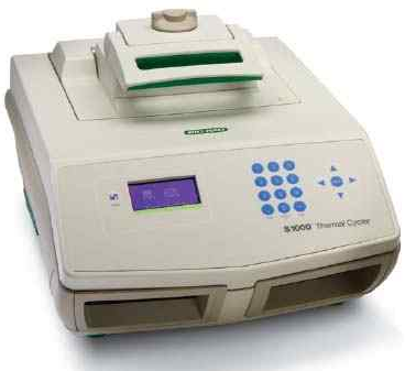 美国伯乐S1000 384孔PCR 仪